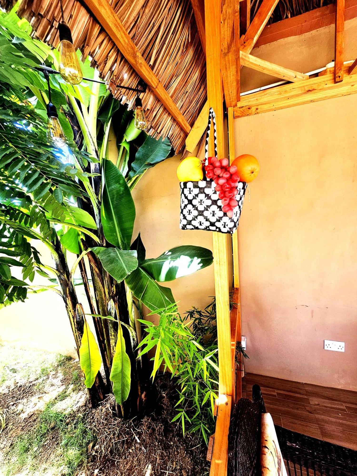 Safi House Bed and Breakfast Boma la Ngombe Exteriör bild
